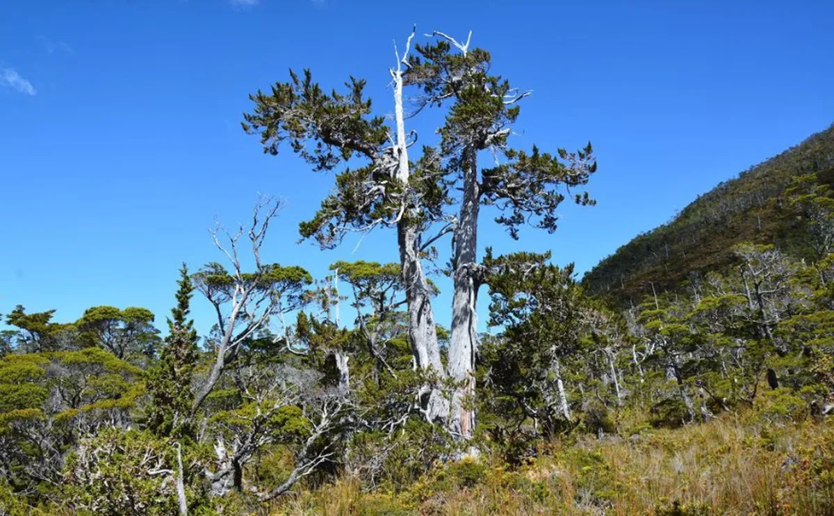 WhatsApp Image 2023-09-27 at 08.09.29