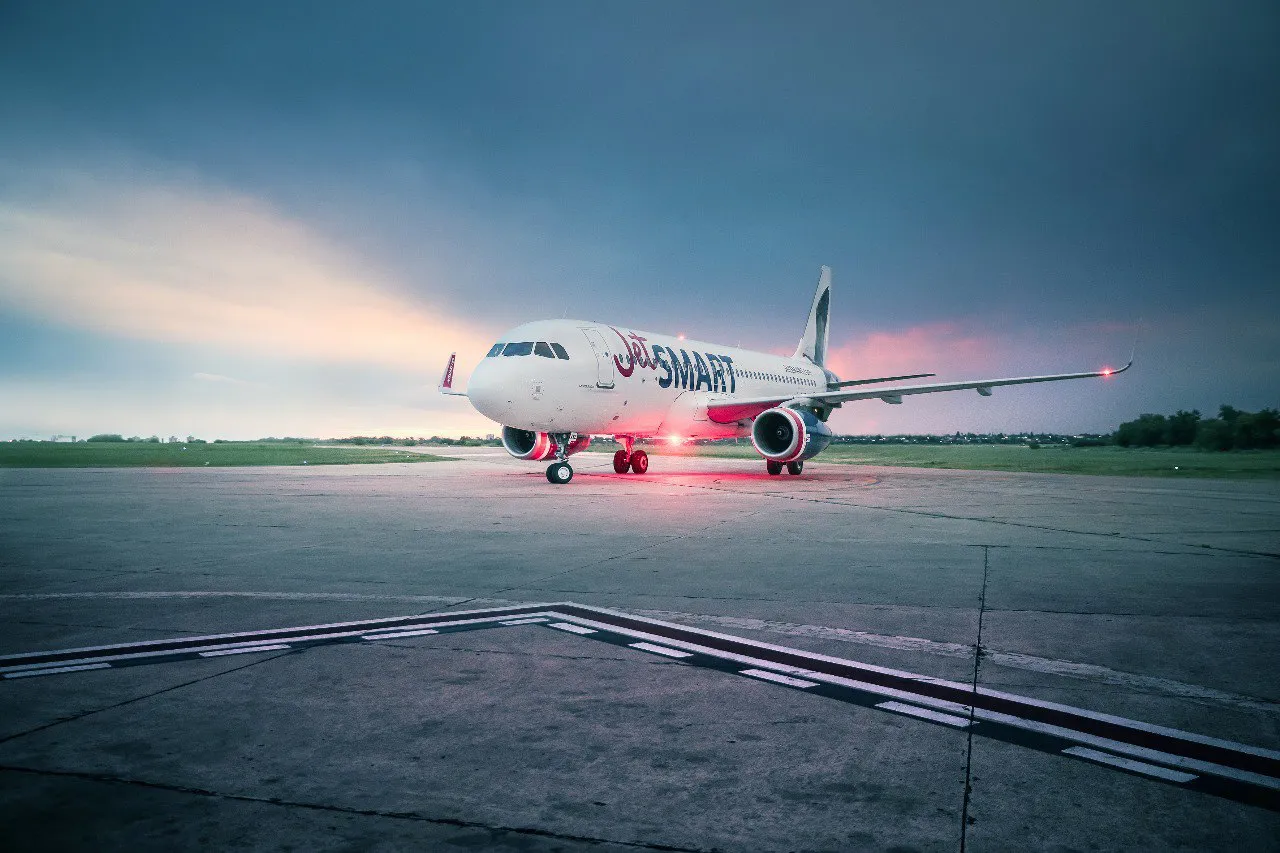 photo_4920390864912624915_y