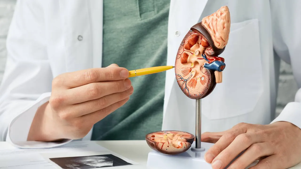 multimedia.normal.bddce531fa5d759e.cmnDsW9uZXNfbm9ybWFsLndlYnA=