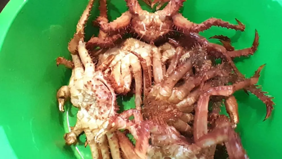 md - 2025-02-13T074509.279