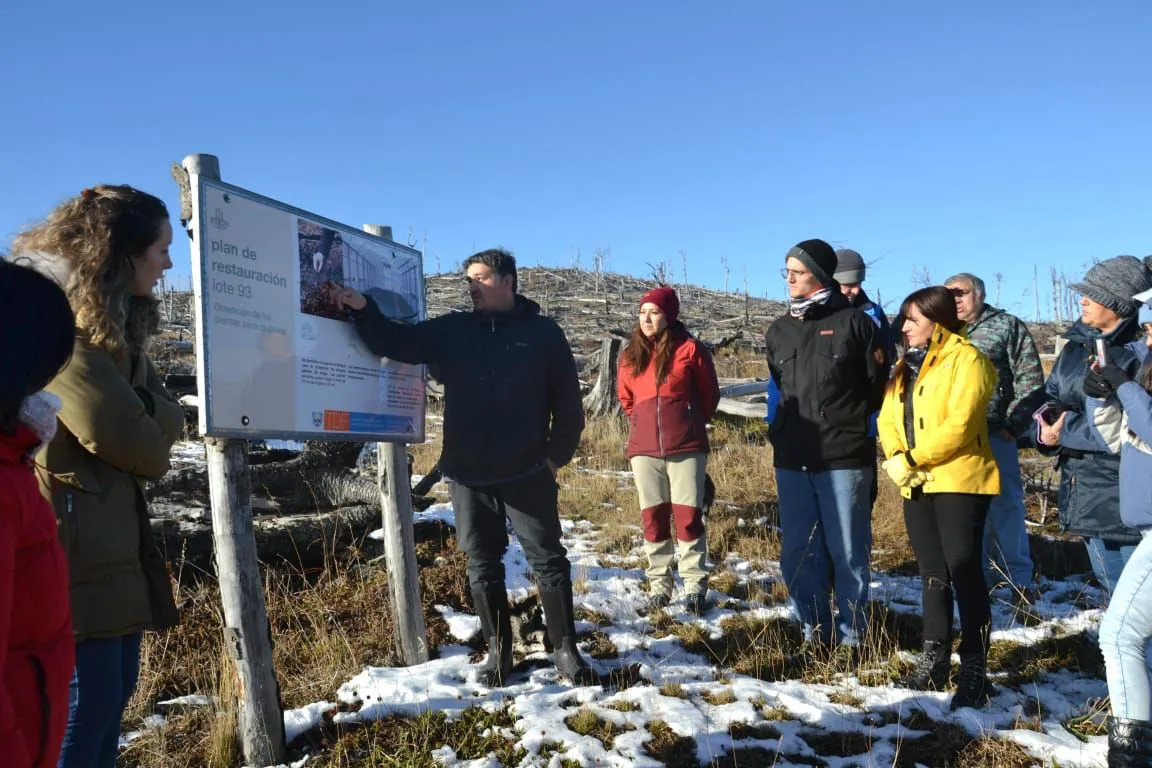 photo_5028687279870291533_y