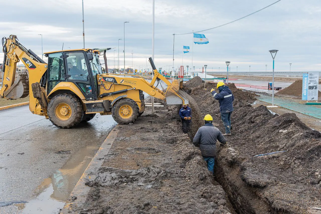 CARPA DE LA DIGNIDAD