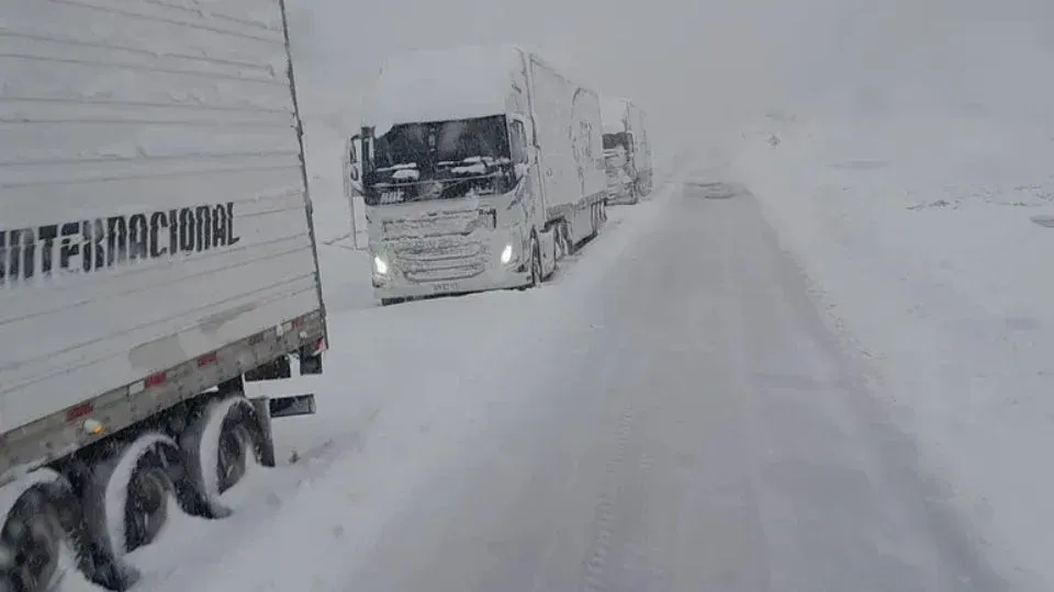 multimedia.normal.b6639d5955d2b00e.Q2FtaW9uZXMgVmFyYWRvc19ub3JtYWwud2VicA==