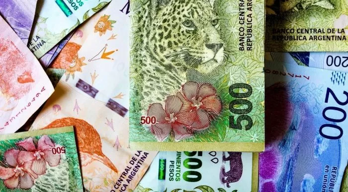 multimedia.normal.b7287e178f8faa45.506c617a6f2066696a6f203230323320615f6e6f726d616c2e77656270