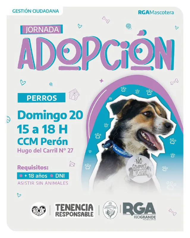 rg mascotera