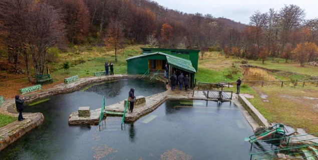termas