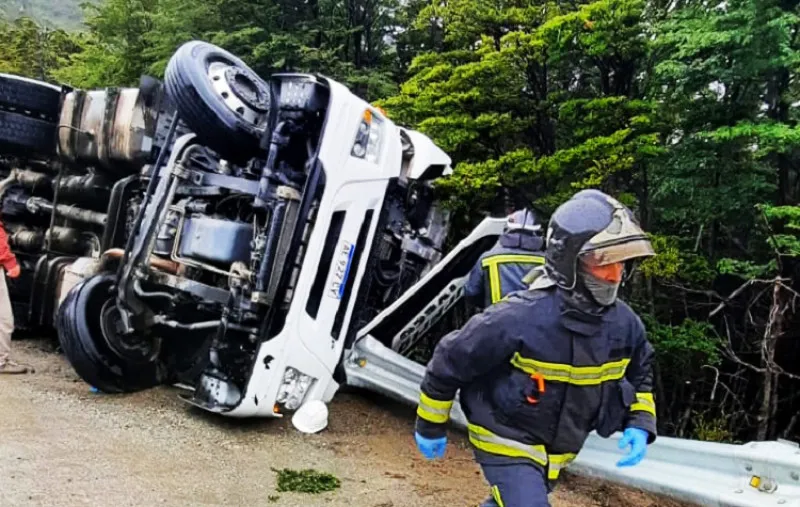 en-la-ruta-n03-volco-un-camion-cargado-con-carne_RfxO