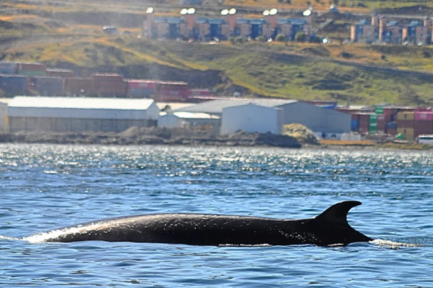 20260309135235_captura_de_pantalla_2026_03_09_131521