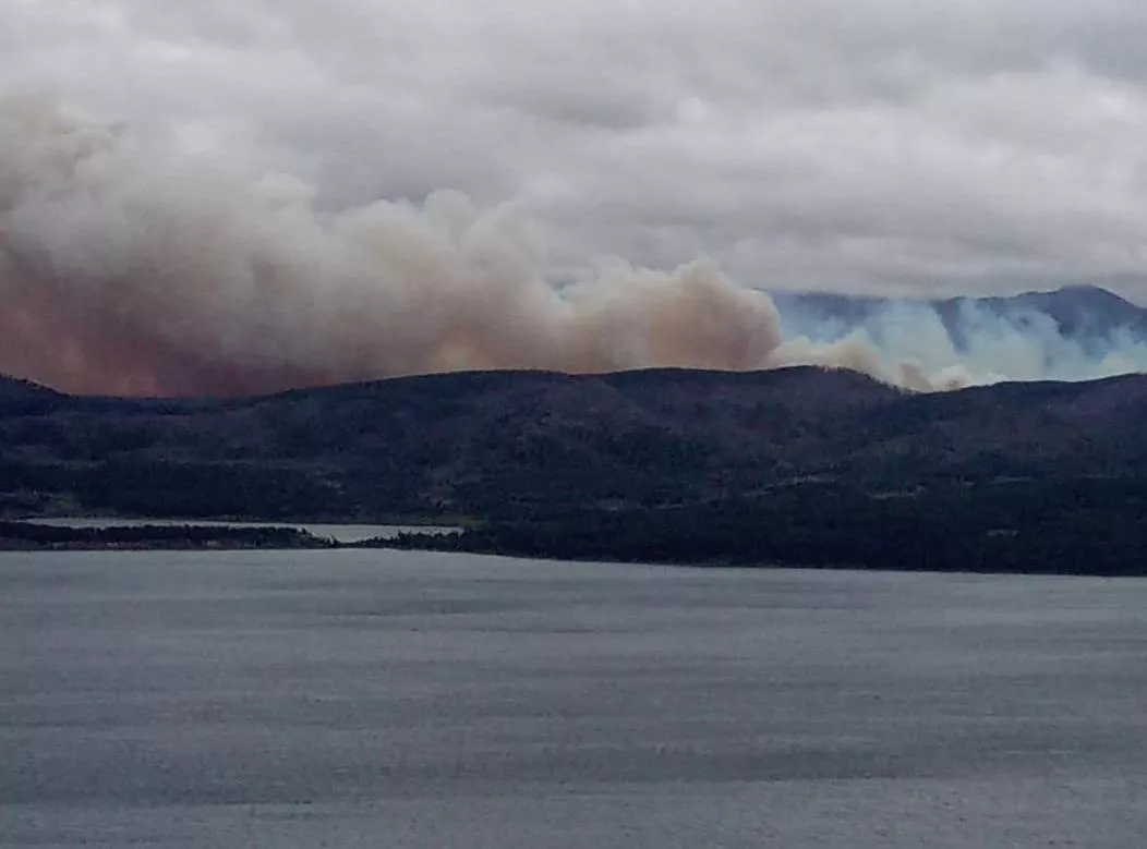 multimedia.normal.ba5564f4108084d8.696e63656e64696f20666f72657374616c20656e206c612052657365727661205f6e6f726d616c2e77656270