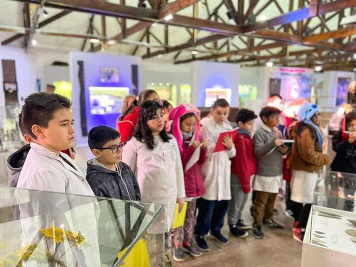 photo_5017321907346844810_x