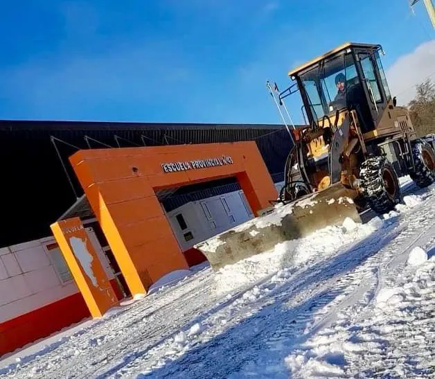 photo_4988095698574618118_x