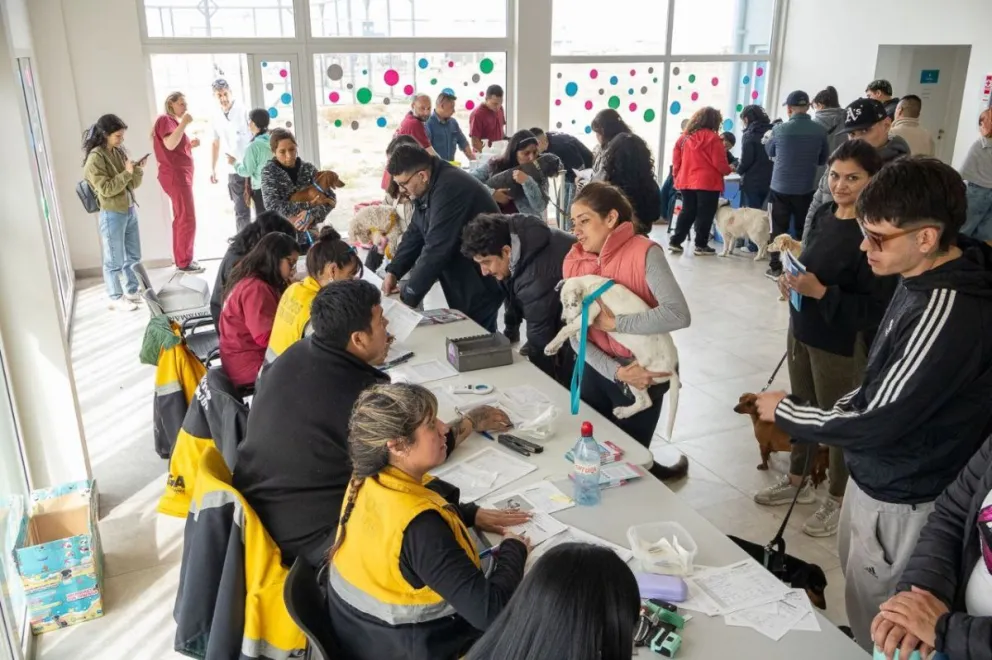 md - 2025-01-15T162305.053