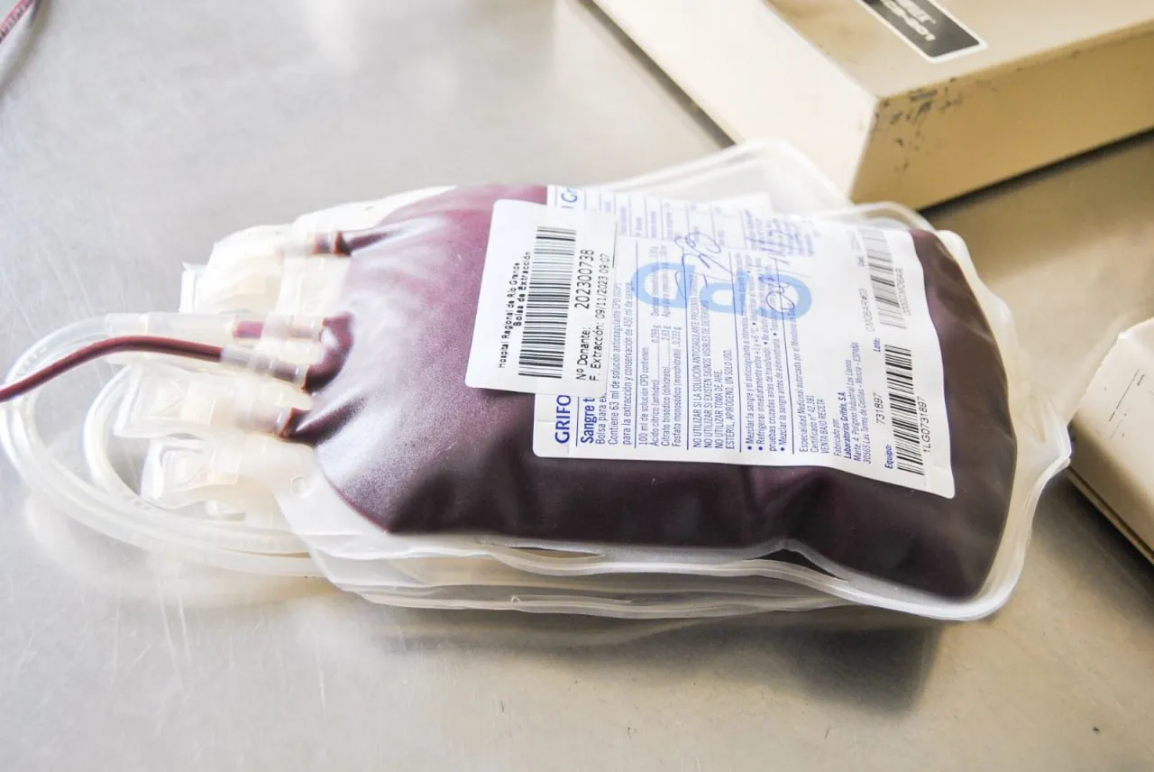 photo_4902576796562730032_y