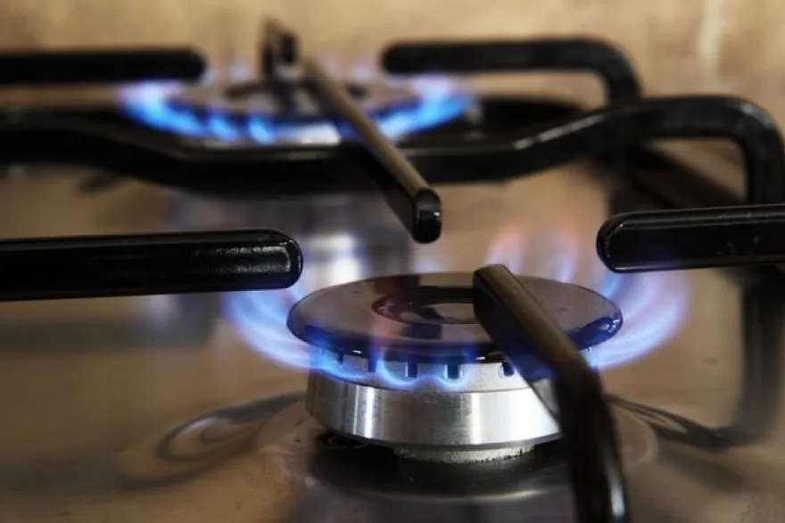 20250403095008_hornallas