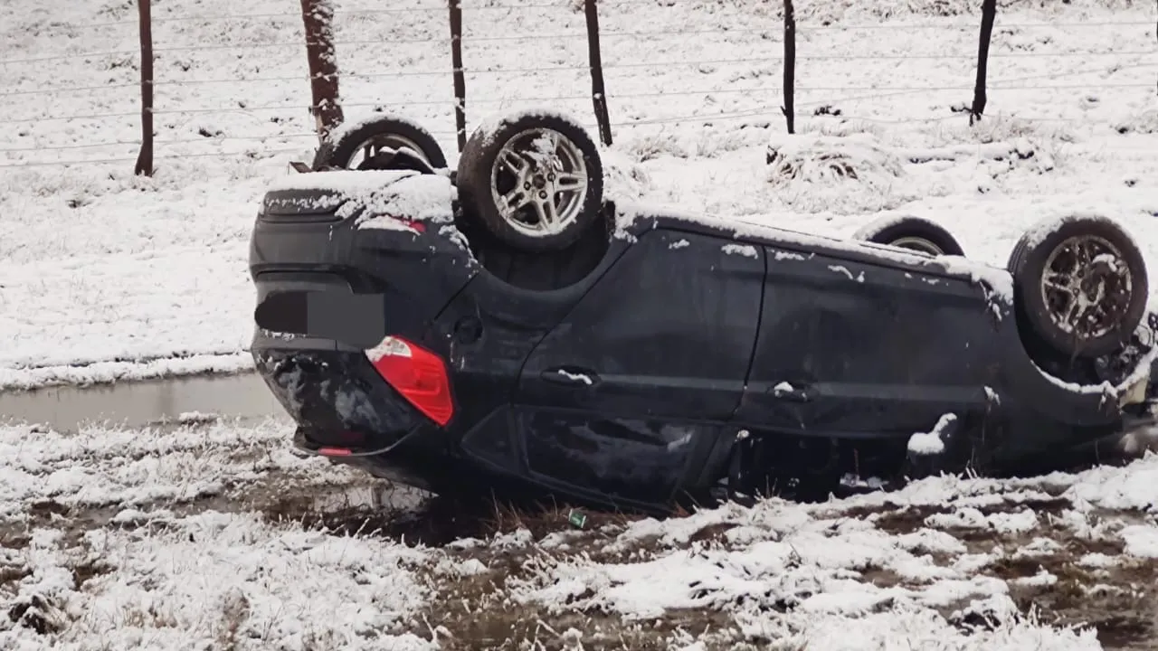 WhatsApp Image 2024-04-08 at 14.17.18