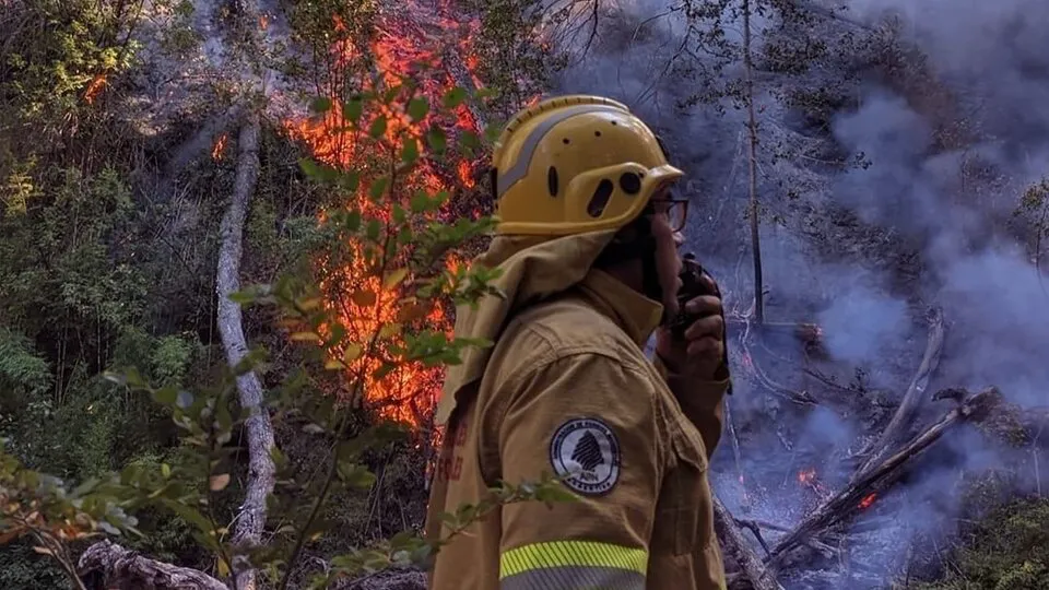 816155-incendio-20los-20alerces-203