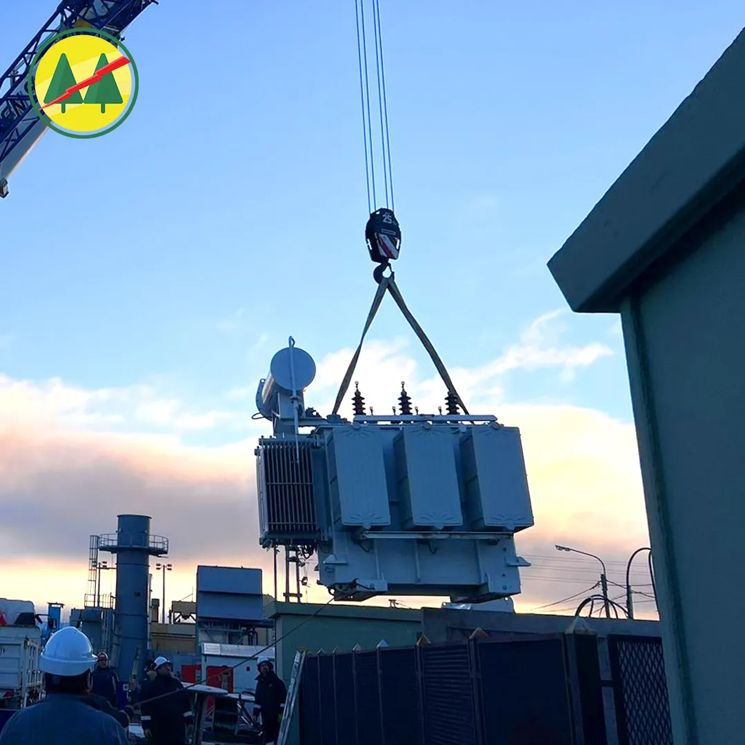 WhatsApp Image 2024-08-06 at 10.32.07 AM