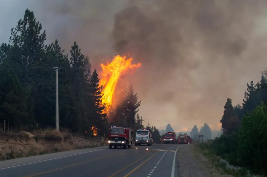 20250204022256_incendios_el_bolson