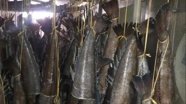 multimedia.normal.8313edd286e19c07.TWVybHV6YSBuZWdyYV9ub3JtYWwud2VicA==