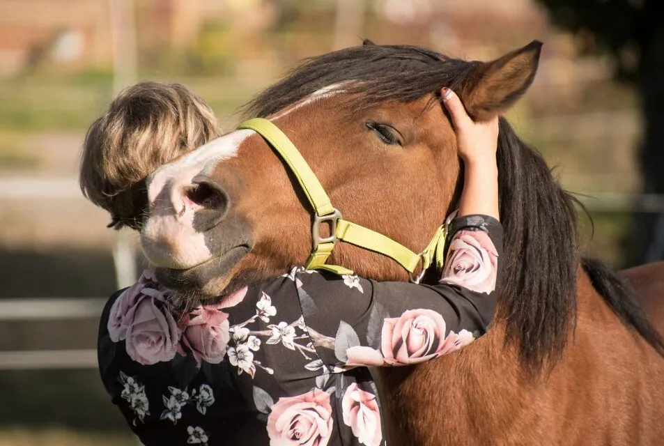 caballos-sintientes-e1695764624150