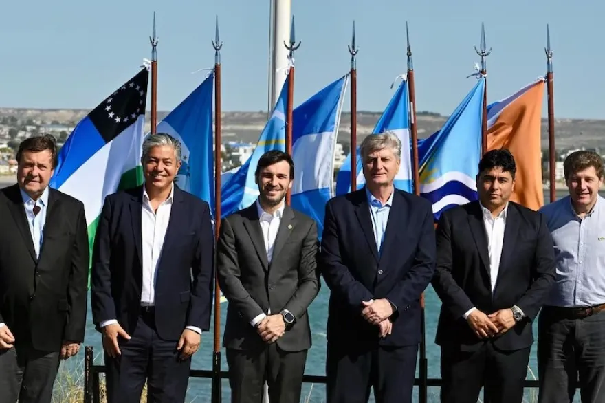 20260128025245_patagonicos