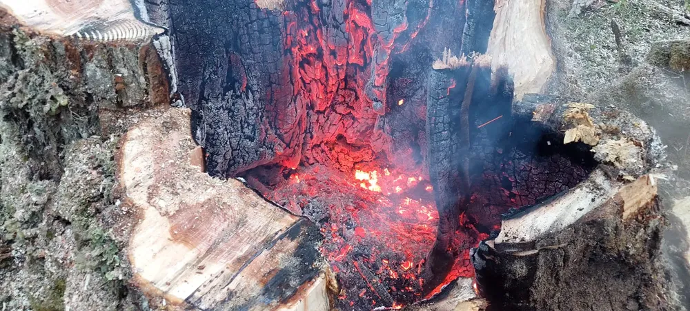 multimedia.grande.aa045a7b65017539.SU1HLTIwMjMxMjAyLVdBMDAwMl9ncmFuZGUud2VicA==