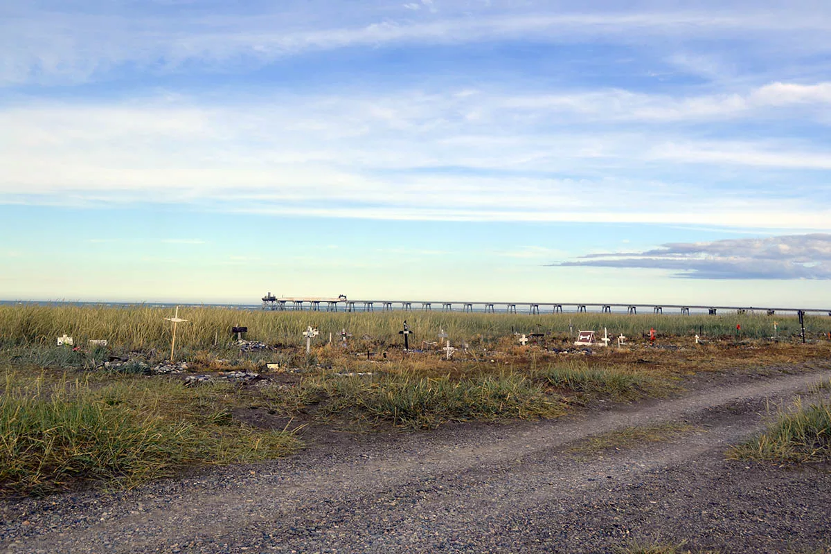 xcementerio,P20animales.jpg.pagespeed.ic.aUmOKRLaGh