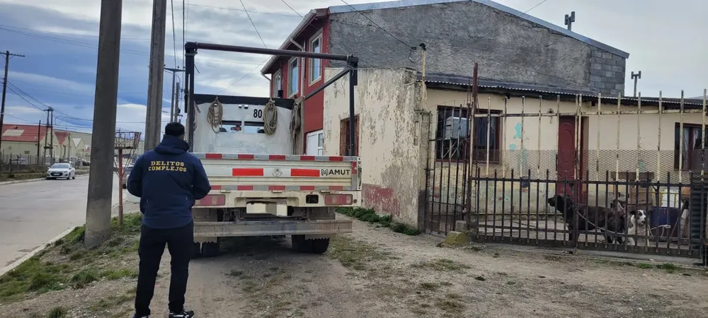 multimedia.normal.af1ffd9ff6a360e6.QWxsYW5hbWllbnRvIFLDrW8gR3JhbmRlIHJvYm8gVG9sX25vcm1hbC53ZWJw