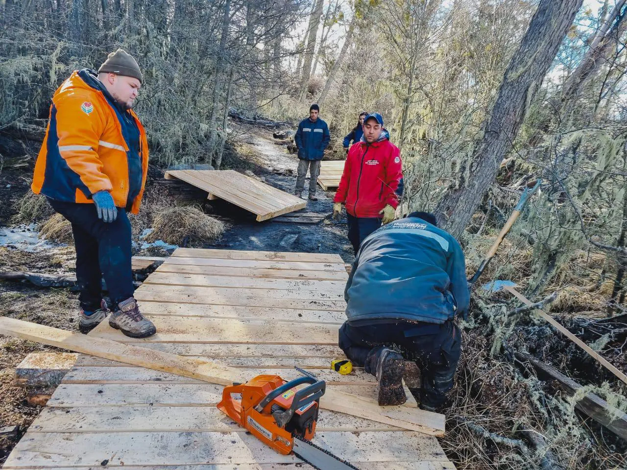 photo_4943135602962967510_y