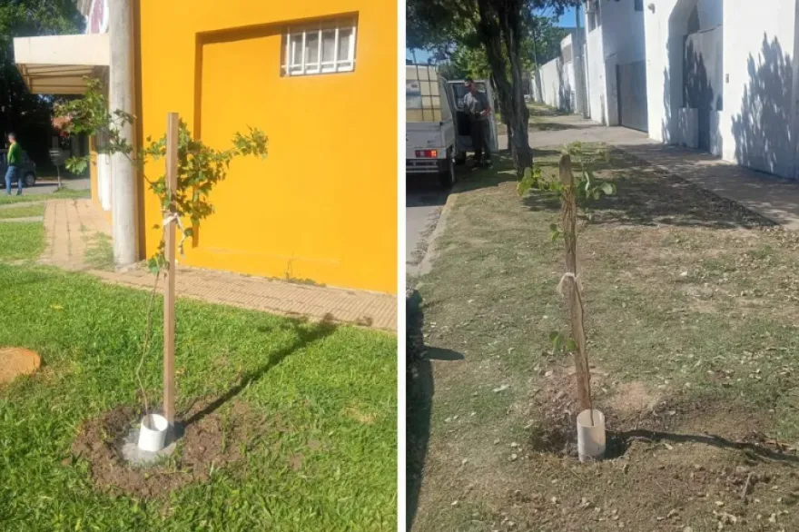 20260129104640_captura_de_pantalla_2026_01_29_104613