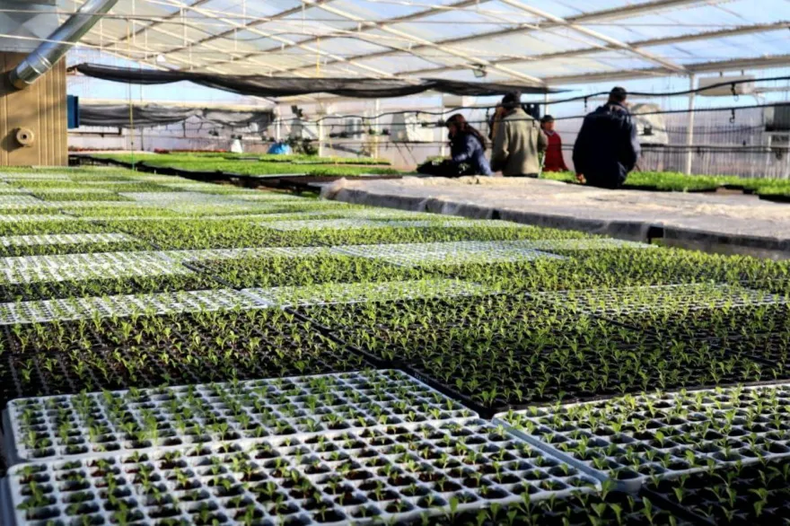 20250910015122_photo_2025_09_10_01_50_58