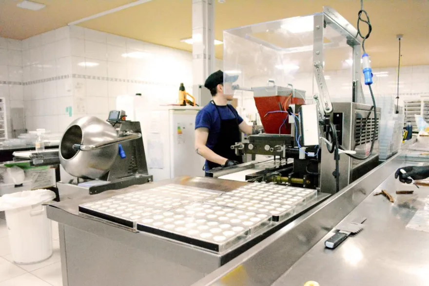 20260129133535_photo_2026_01_29_13_35_06