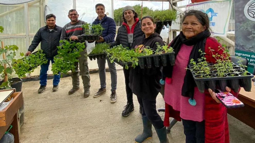 md - 2025-01-20T172844.047