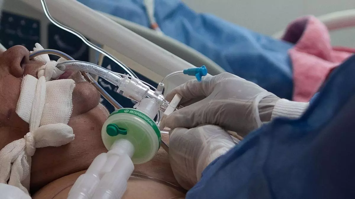 xterapia,P20dfn.jpg.pagespeed.ic.StiK8AkVb8