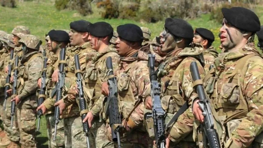 fuerzas-armadas_862x485