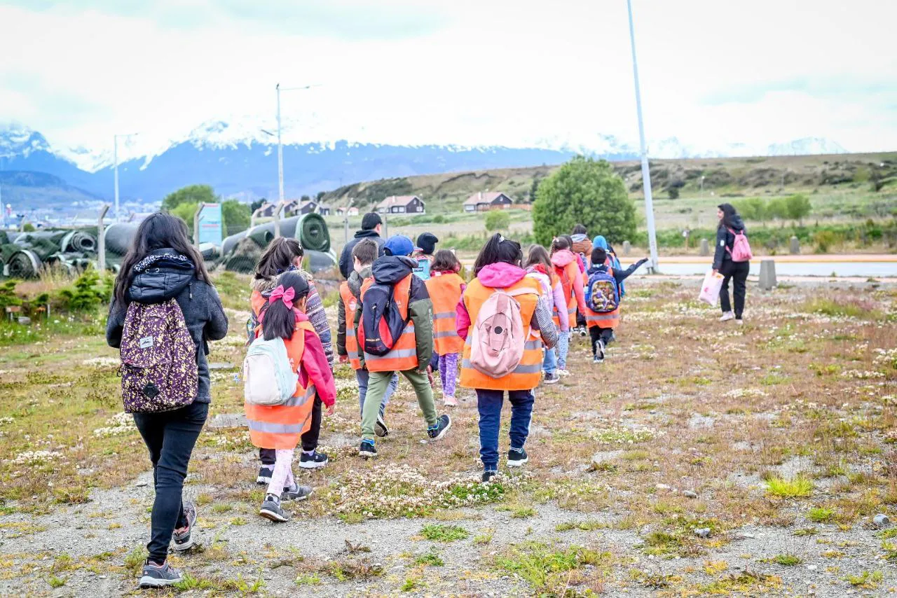 photo_4988034890427640888_y