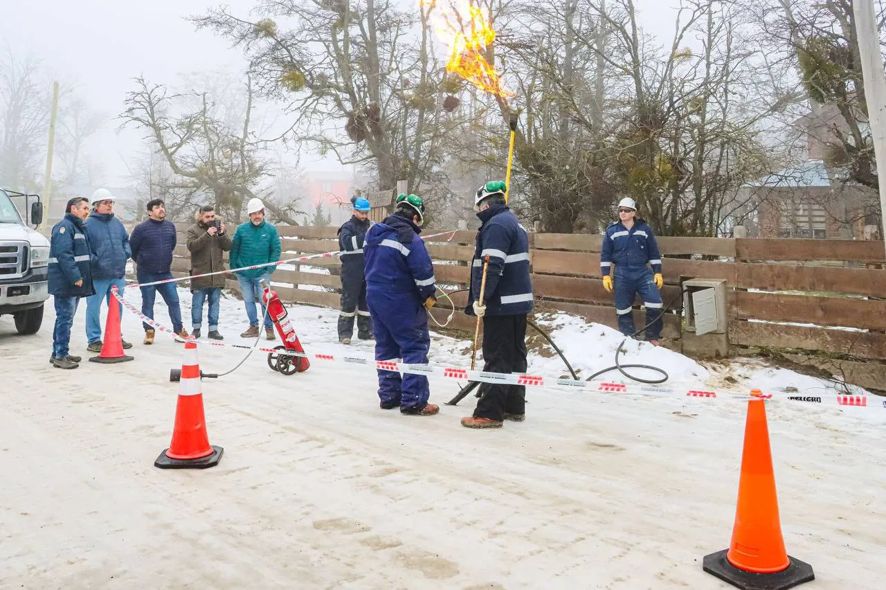 photo_4956420941831843018_y