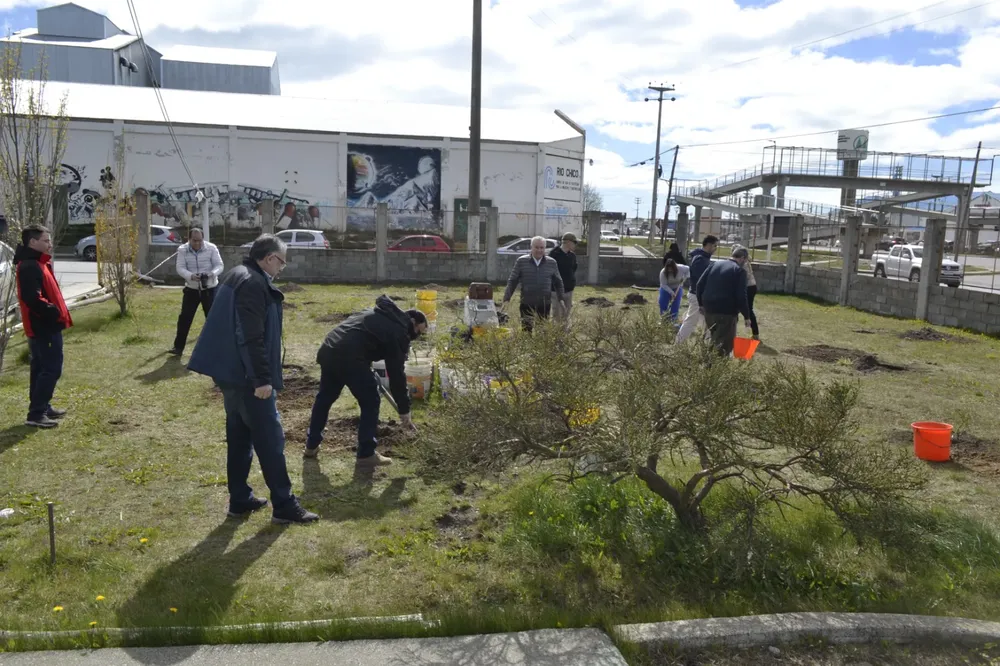 WhatsApp Image 2023-11-04 at 13.53.37