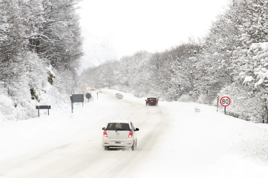 20230804113029_365241621_602237838765575_6512741818786188217_n