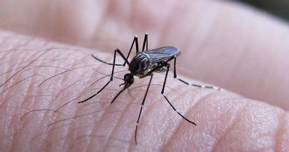 multimedia.normal.9f8746d78b1c4d93.44454e4755455f6e6f726d616c2e77656270