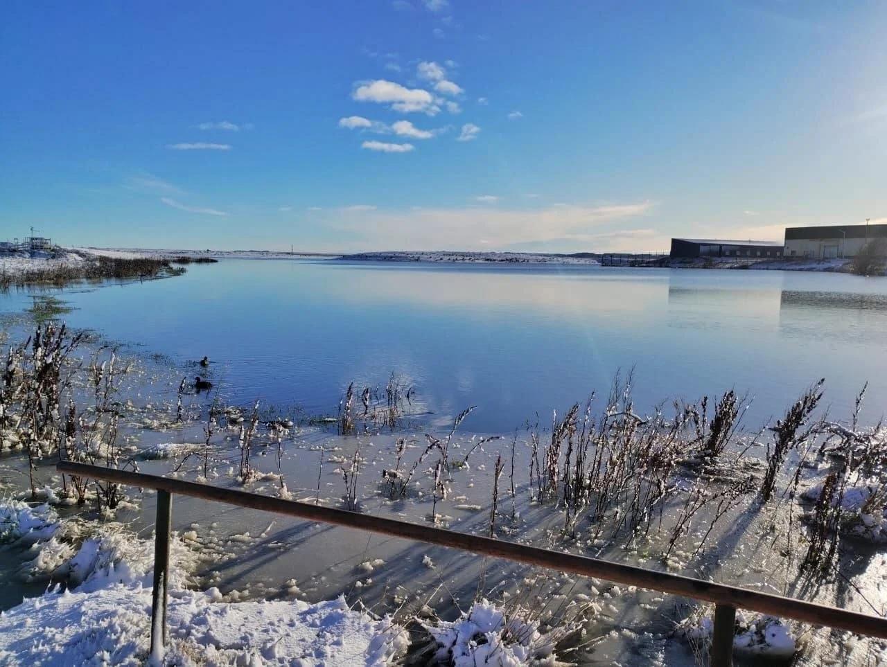 laguna