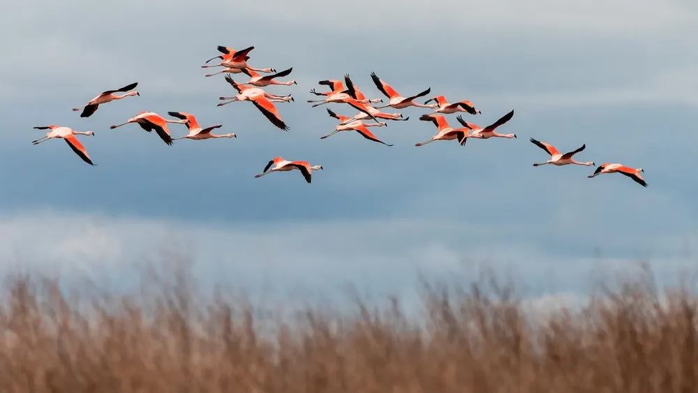 multimedia.normal.bd688435bc8b2e84.SzQ1UVFXM0NSVkhRWklNQ1pPM1pER0JMRklfbm9ybWFsLndlYnA=