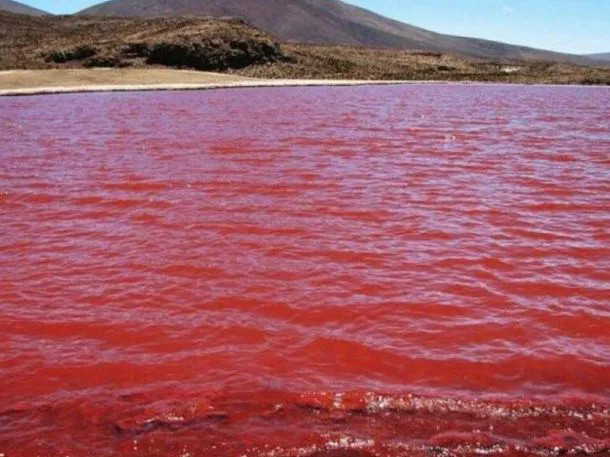 rio-nilo-rojo