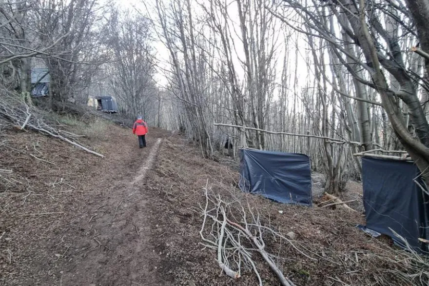 20230927115100_multimedia_normal_9796bf153573c8fd_mta4oty2x25vcm1hbc5qcgvn