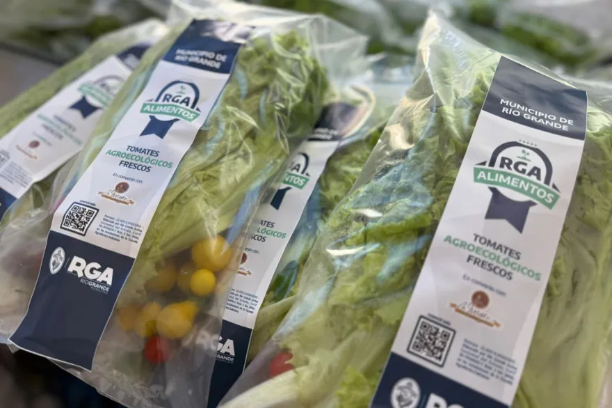 20250207212646_photo_2025_02_07_21_22_31