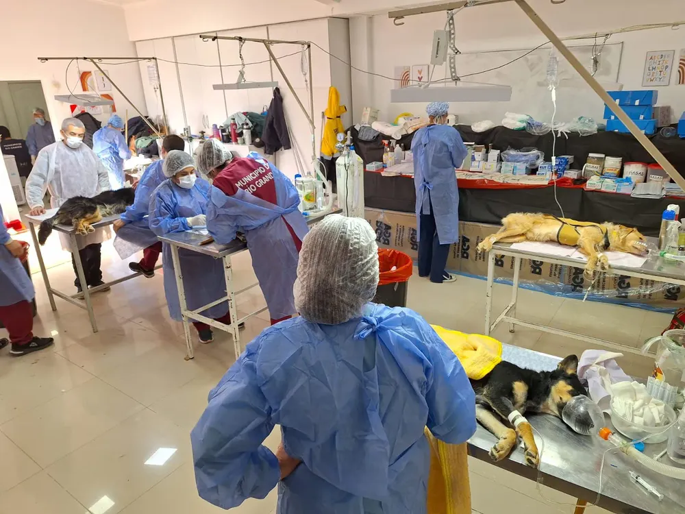 WhatsApp Image 2024-04-28 at 21.07.50