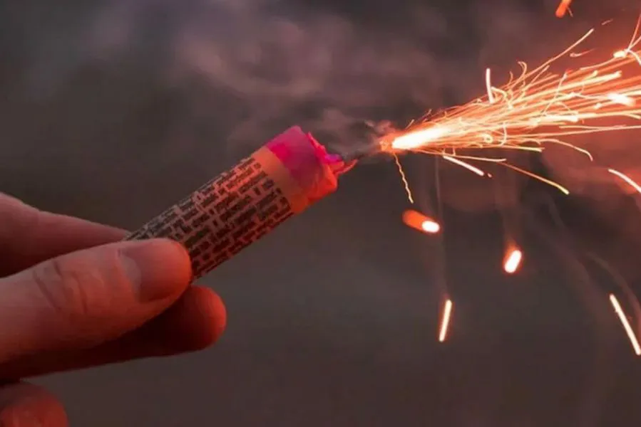 79959-advierten-sobre-las-graves-consecuencias-del-uso-de-pirotecnia-en-la-fauna-silvestre-urbana