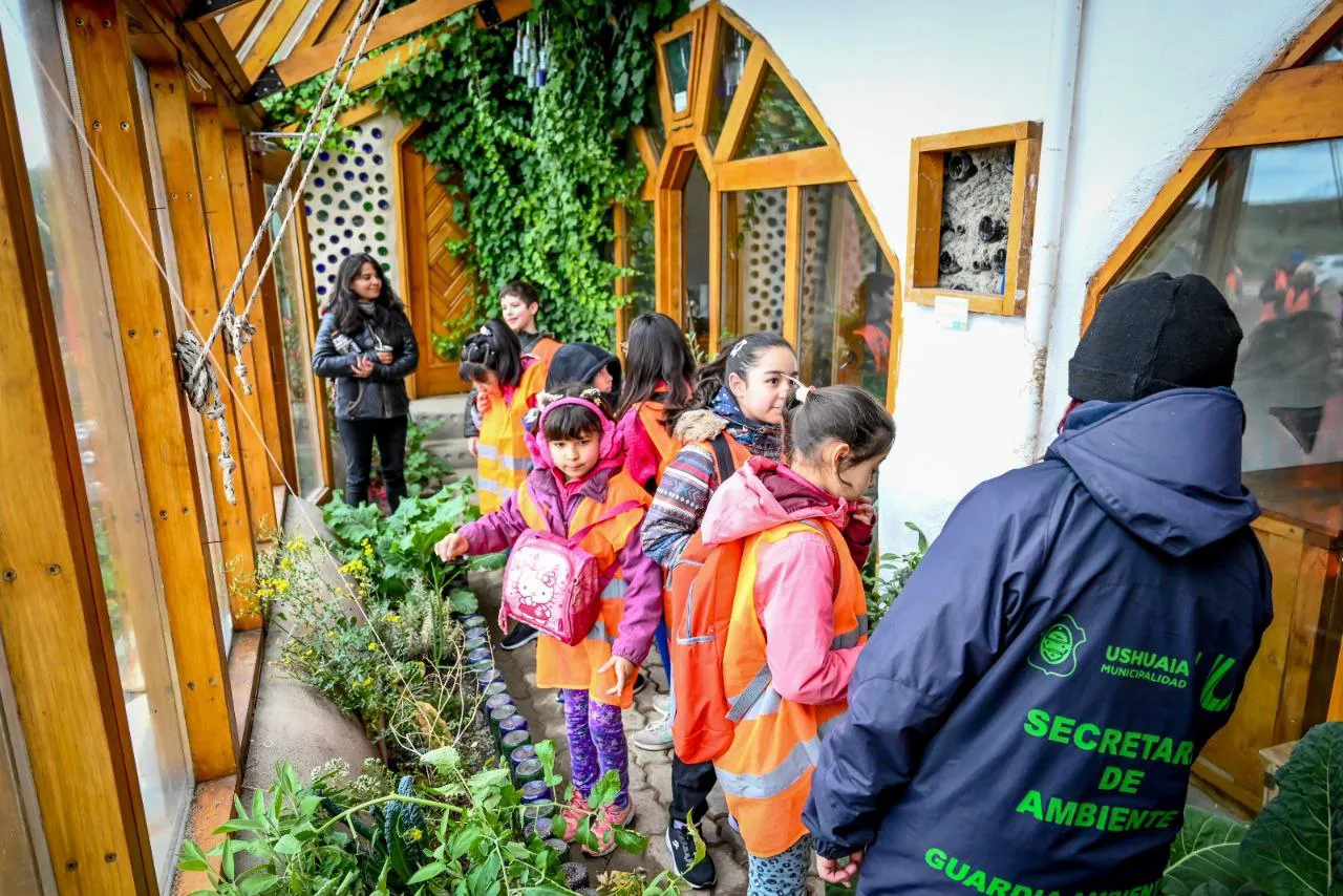 photo_4988034890427640885_y