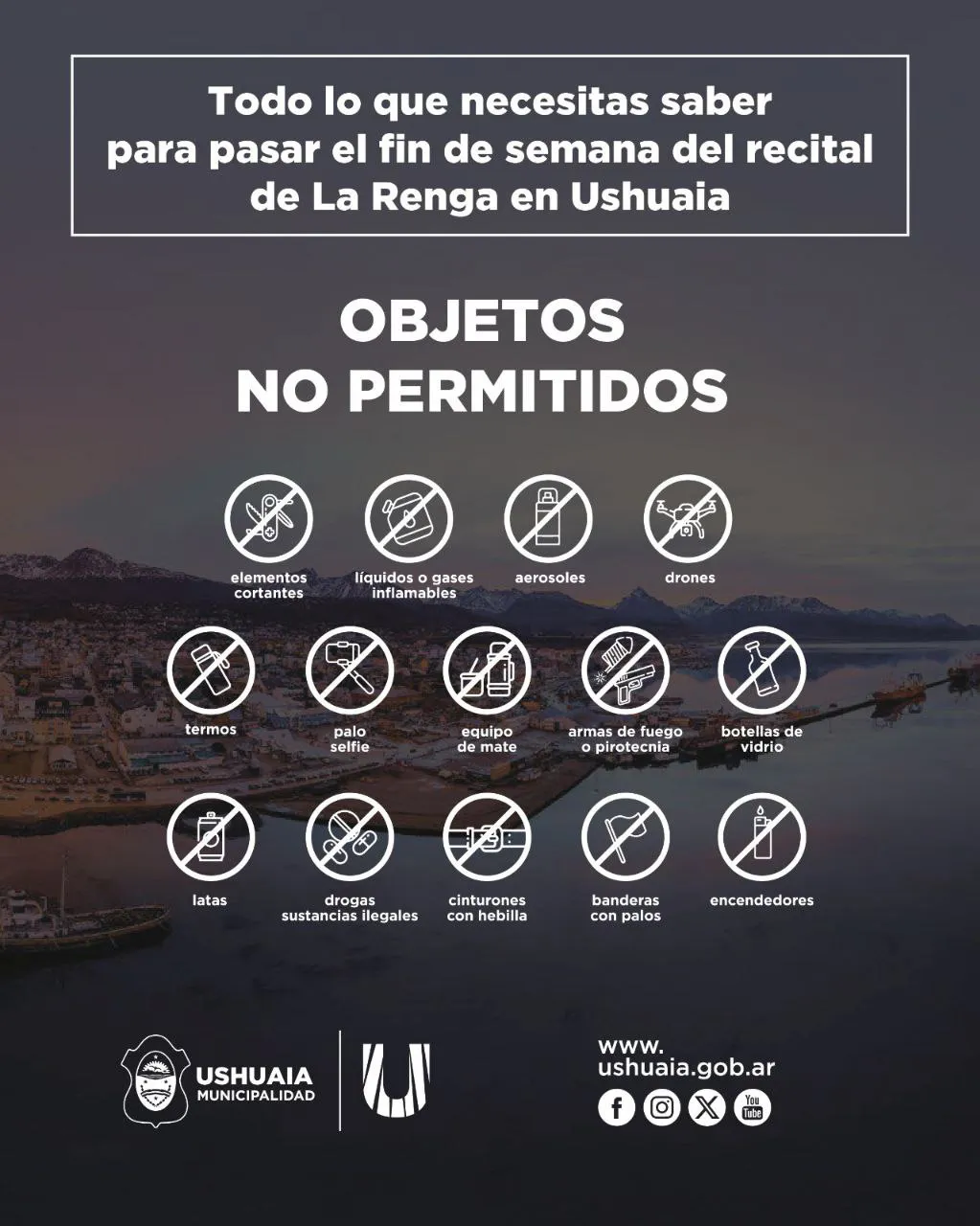 photo_5116443464706403268_y (1)