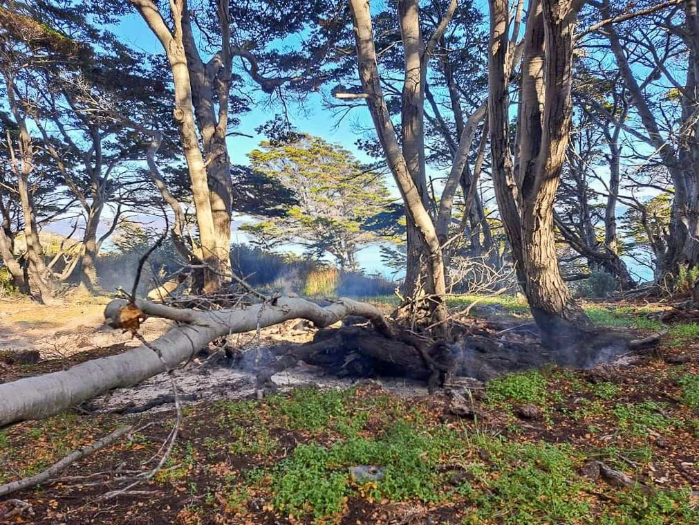 multimedia.normal.bc58d165fba28344.664f47c3934e204d414c204150414741444f5f6e6f726d616c2e77656270